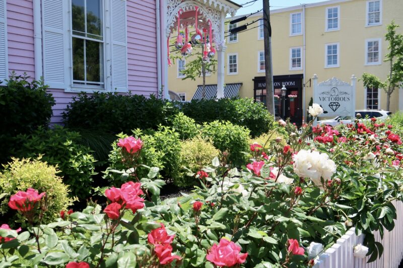 Flowers at Victorious