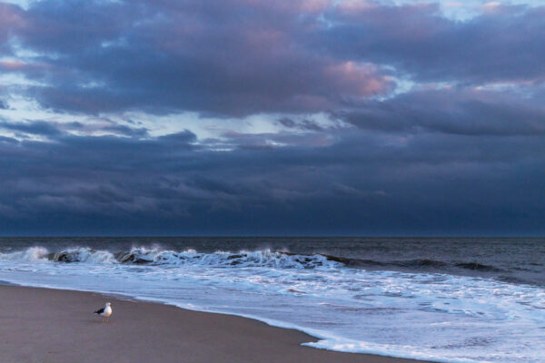 Beach Walk with Clouds and Seagulls