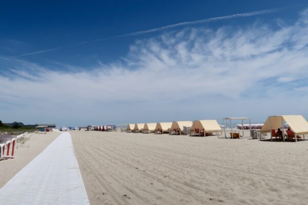 Down the Beach Path