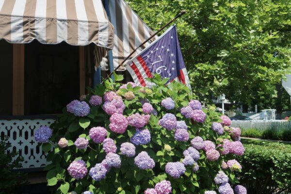 Bennington Flag