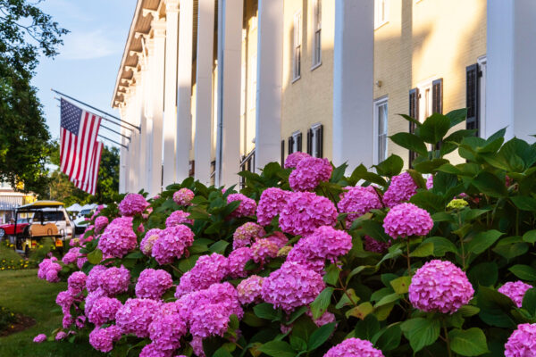 Flower Season