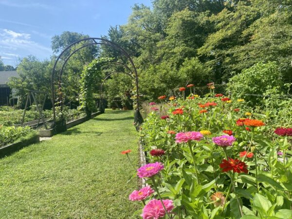 Bright Day at Beach Plum Farm