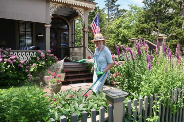 Watering Flowers on a Summer Day
