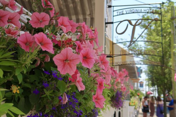 Flower Box at The Virginia Hotel