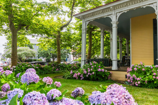 The Lawn at the Mainstay