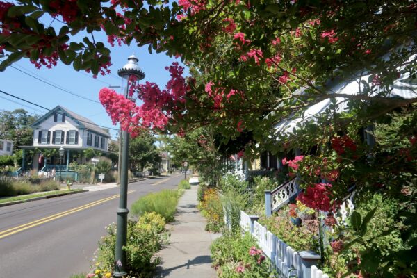 Sidewalk Scenery