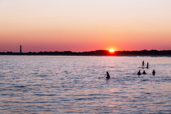 One Last Swim