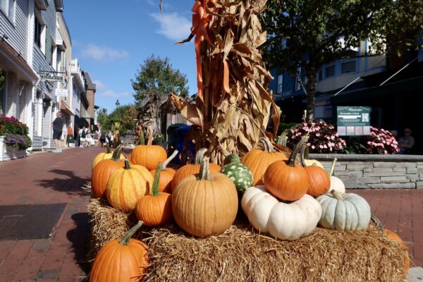 Plenty of Pumpkins