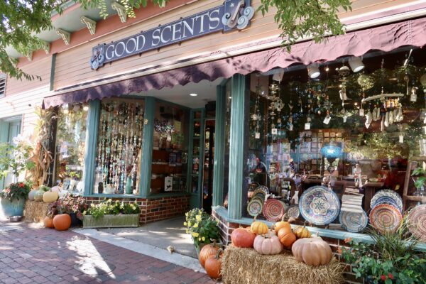 Eclectic Fall Finds