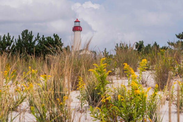 Fall Dunes at The Point