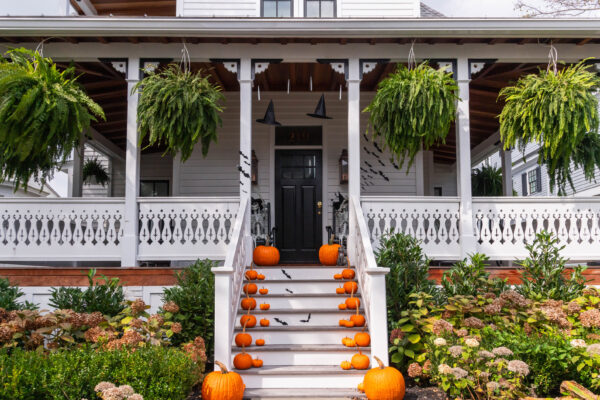 Pumpkins Stepping Up