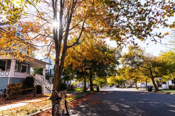 Fall Shimmering