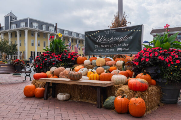Pumpkins at the Mall