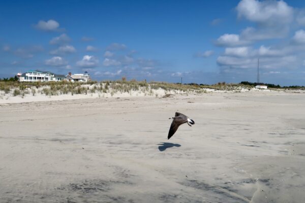 Flying on the Beach