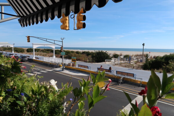 View from Taco Caballito