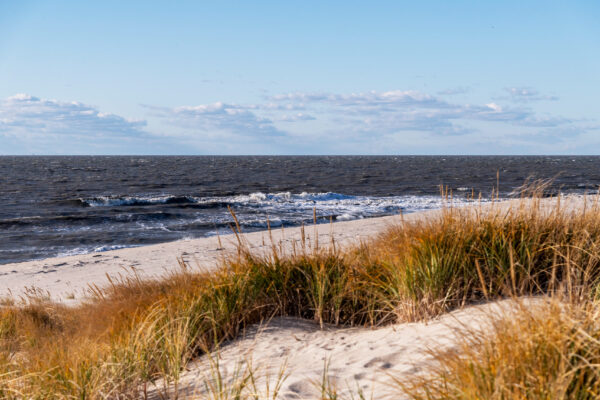 Windy at The Point