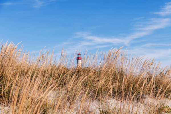 Fall at The Point