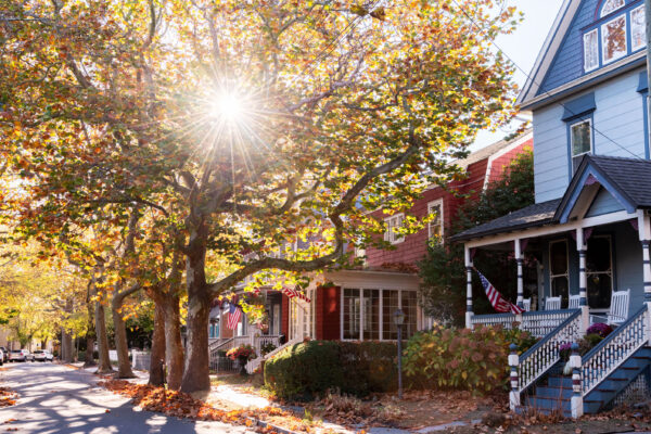 Sunny Fall Day