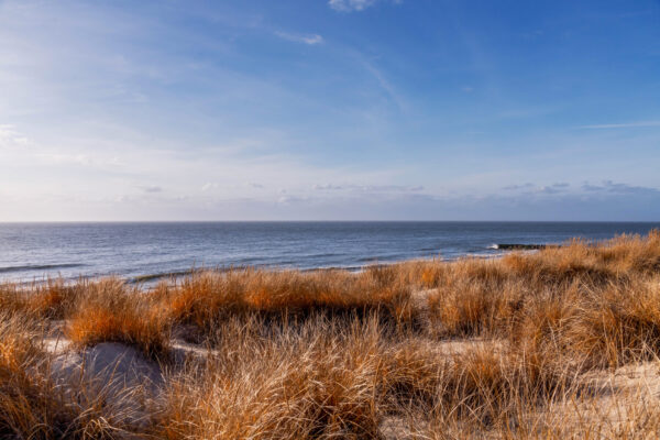 Blue Horizon
