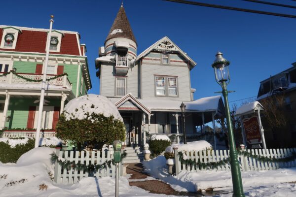 Sunny & Snowy at Beauclaires
