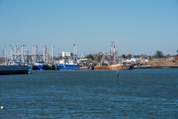 The Cape May Harbor