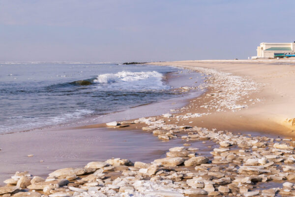 Ice Along the Beach