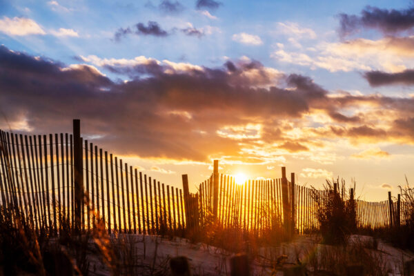 Through the Fence
