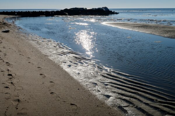 Glistening Reflection