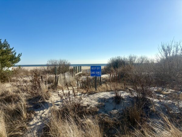 Horizon Line Through the Dunes
