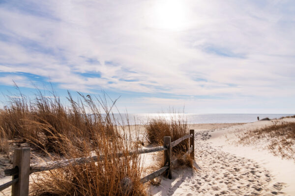 Onto the Beach