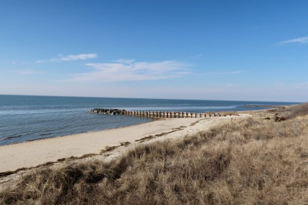 From the Dunes