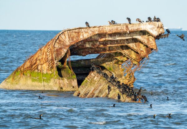 Basking in the Sun at Sunset Beach and the Concrete Ship is