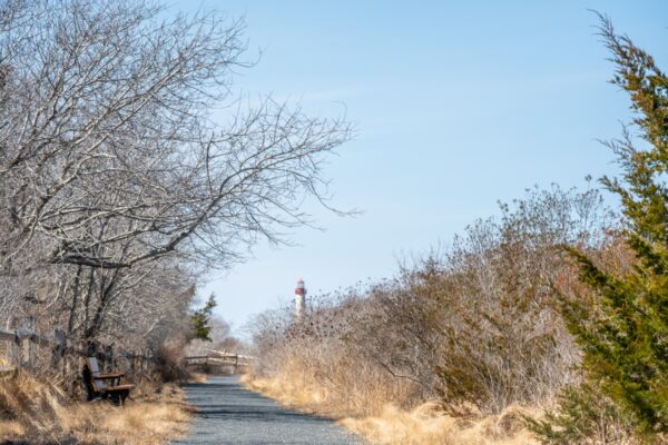 South Cape May Meadow Trail walking toward the Cape May Lighthouse