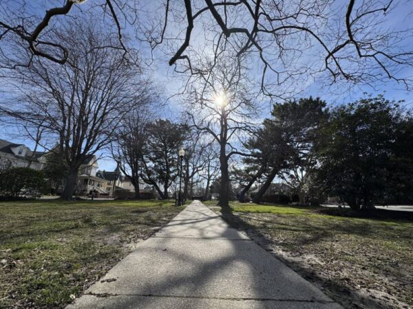 Sunny Saturday in Wilbraham Park