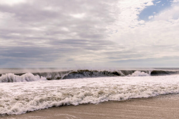 Wild Waves