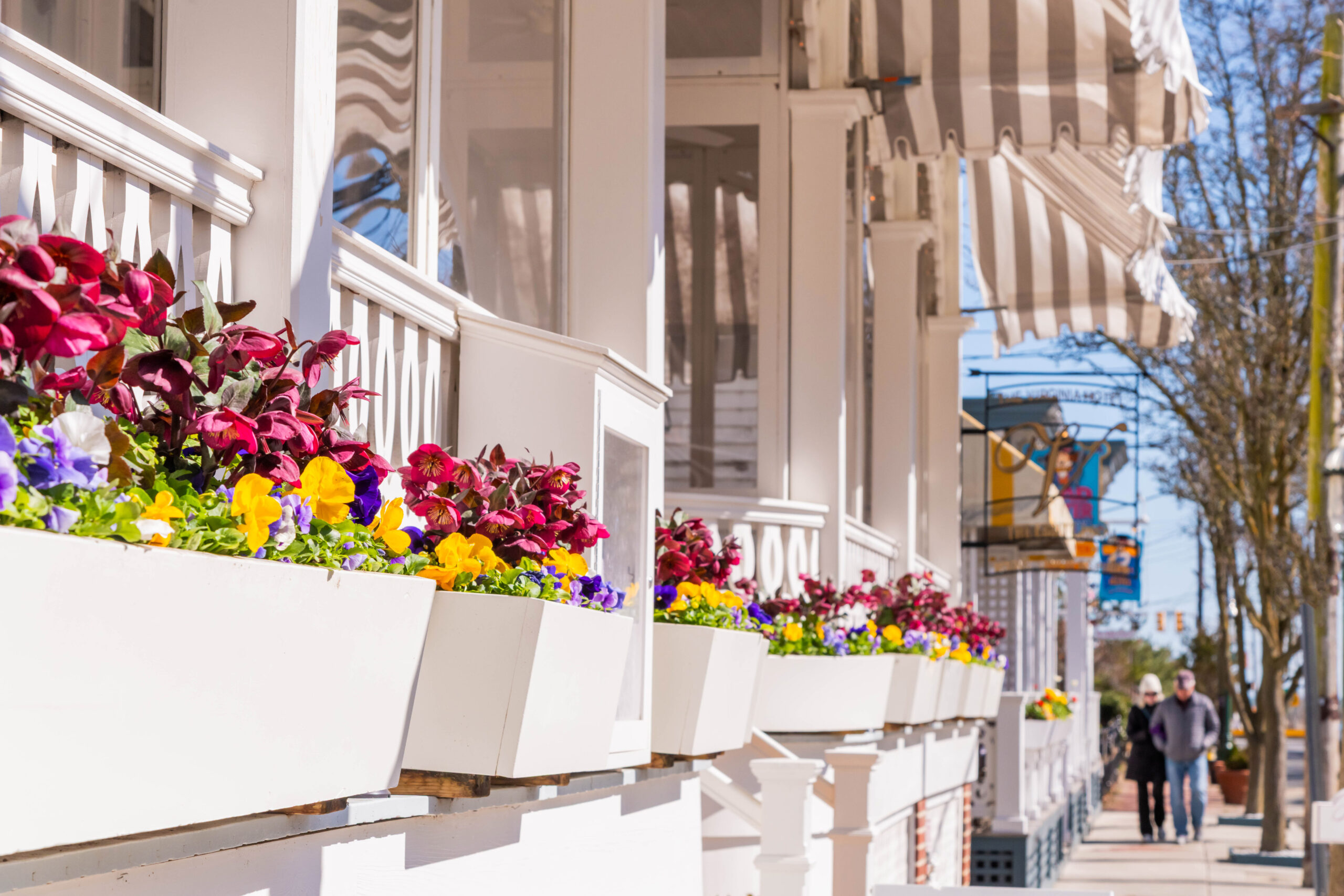 A close up view of flower boxes along the front porch at Virginia Hotel. Yellow and purple pansies and dark pink flowers are in the flower boxes. Two people are walking on the sidewalk in the distance, and it is a sunny day with a clear blue sky.