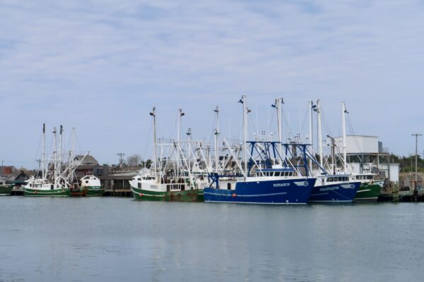 Sailing Season Coming Soon