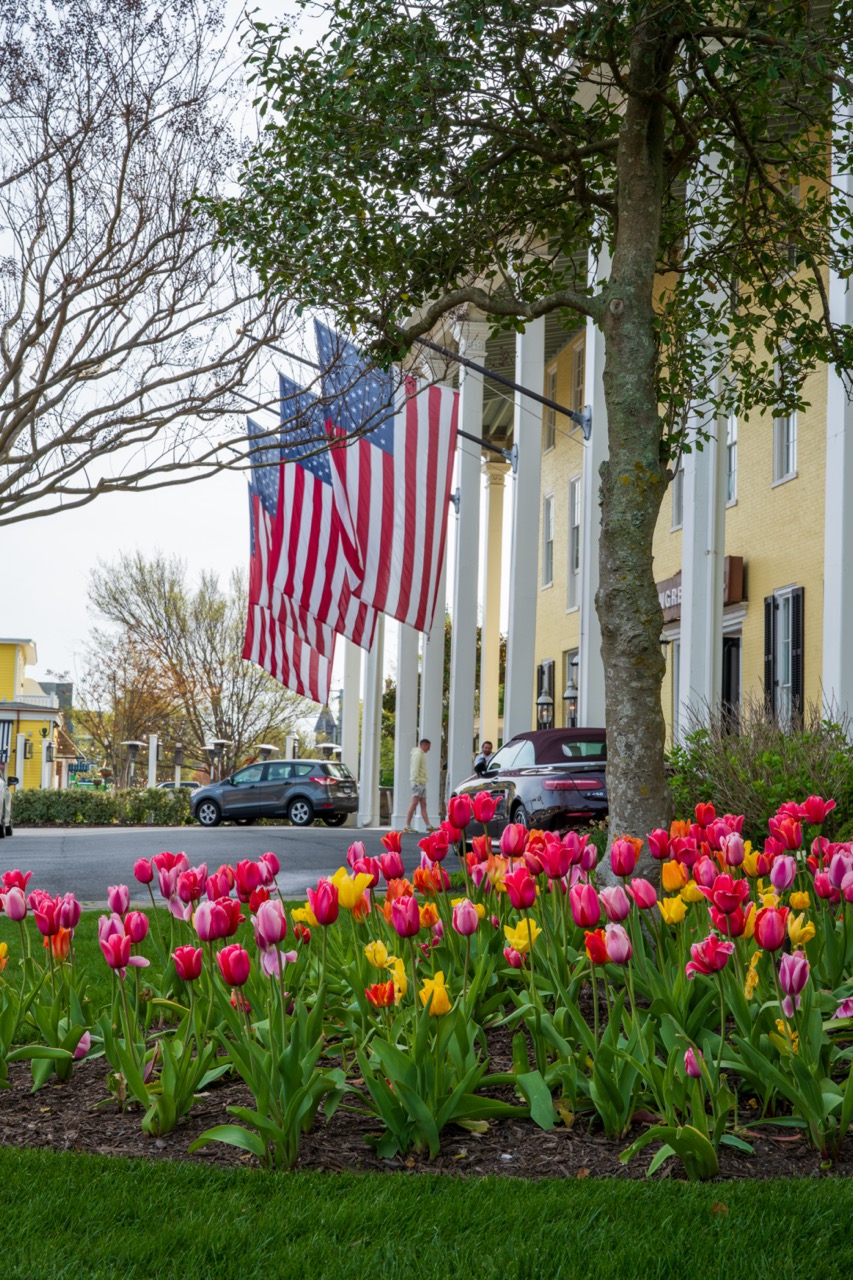 Tulips at Congress Hall on a early morning