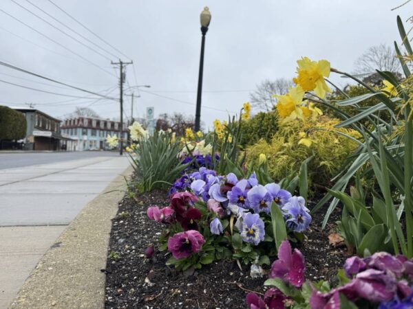 Freshly Sprinkled Spring Sidewalk