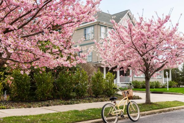Spring Bike Ride