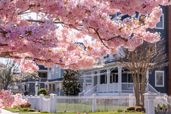 Colorful Easter