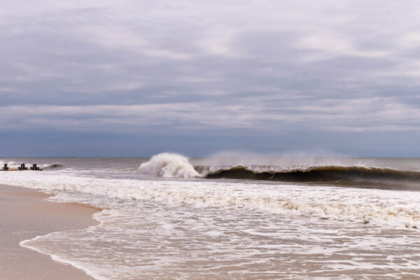 Wilds Waves