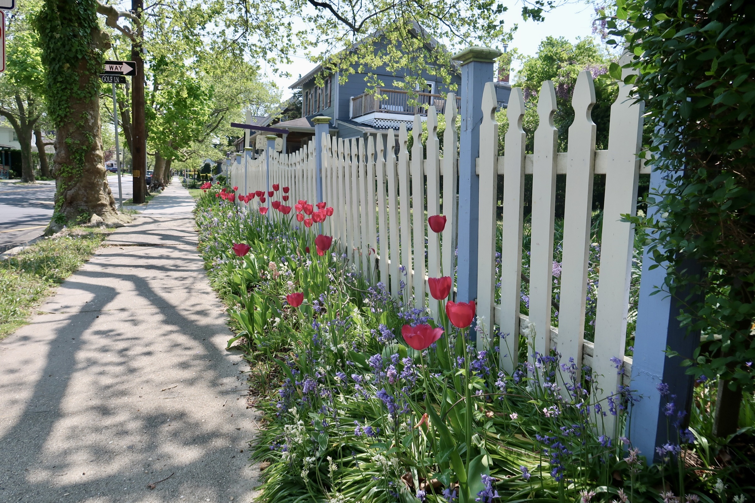 Flowers and picket fence on Washington Street