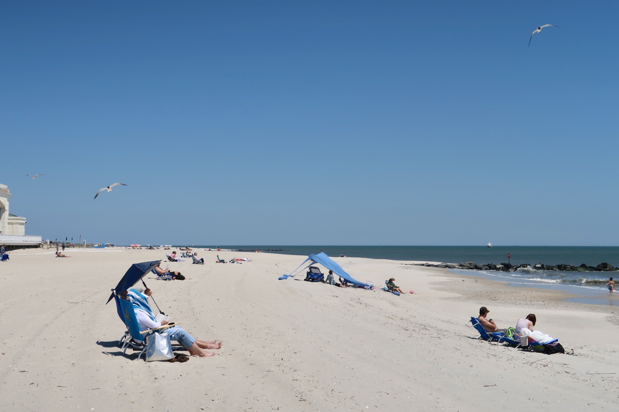 people on the beach with seagulls