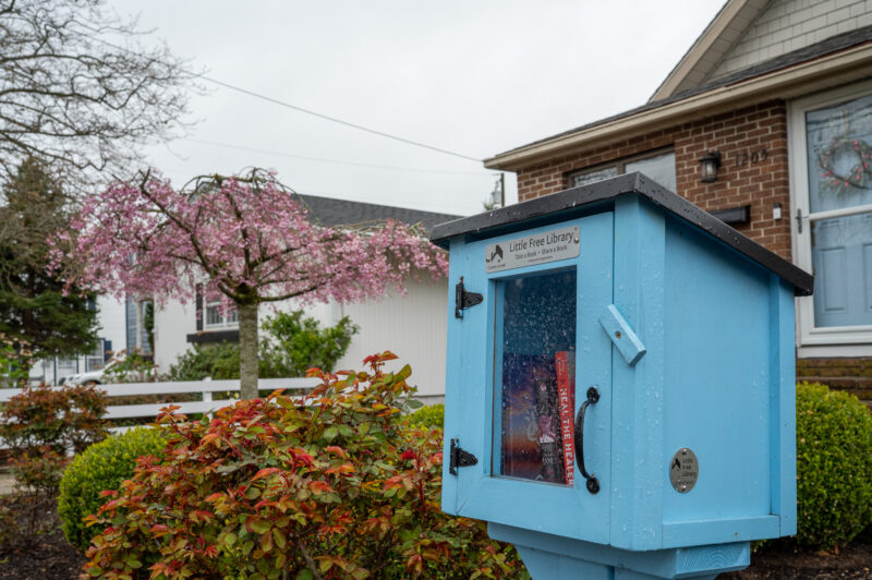 Little Free Library on Washington Street