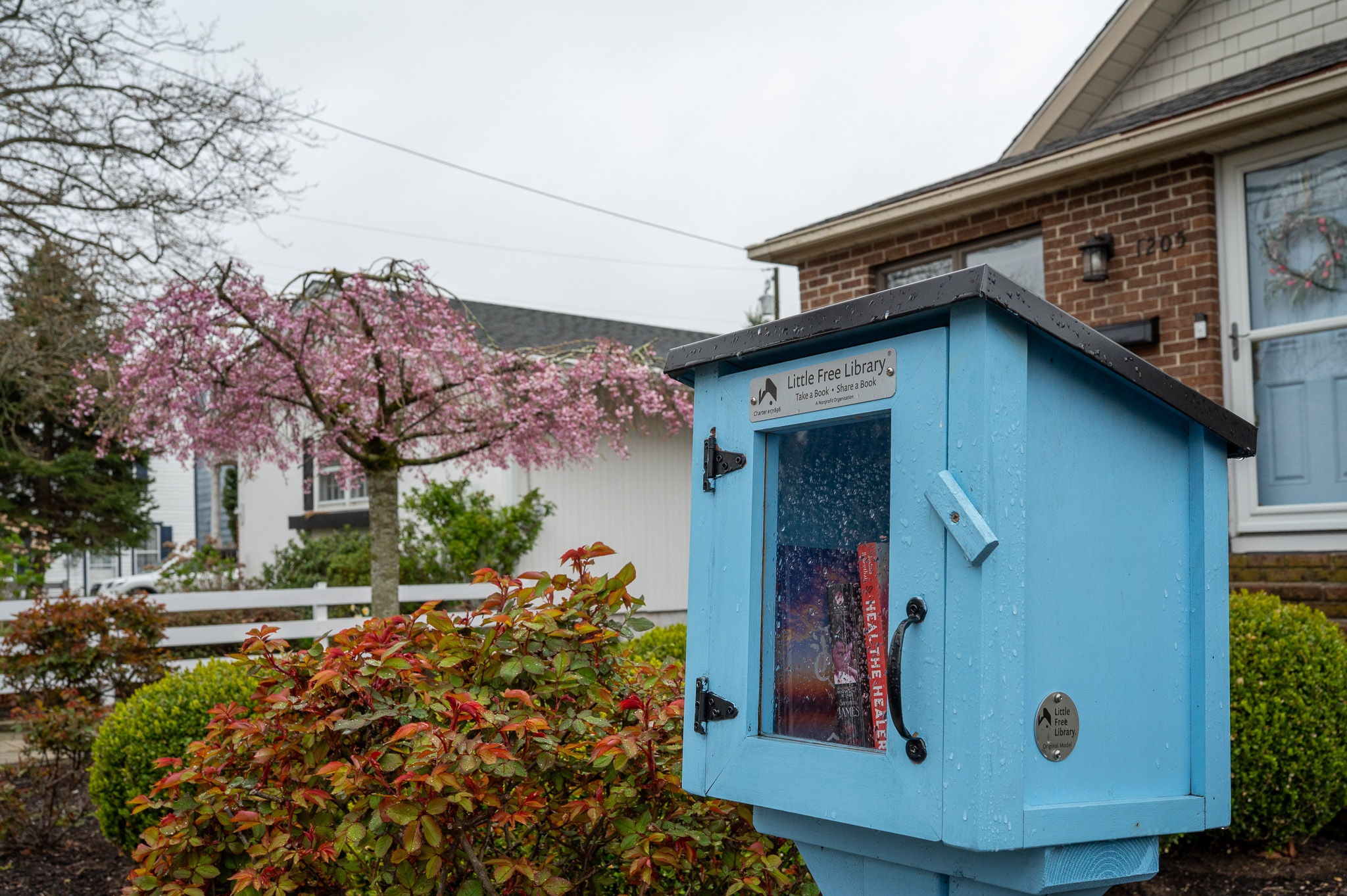Little Free Library on Washington Street