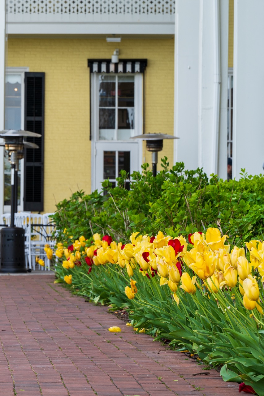 Follow the Brick Path at Congress Hall