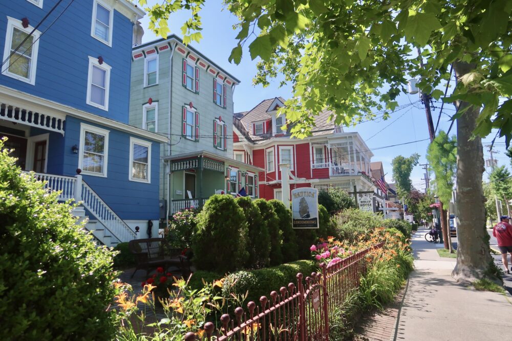 Summer Stroll Down Jackson Street