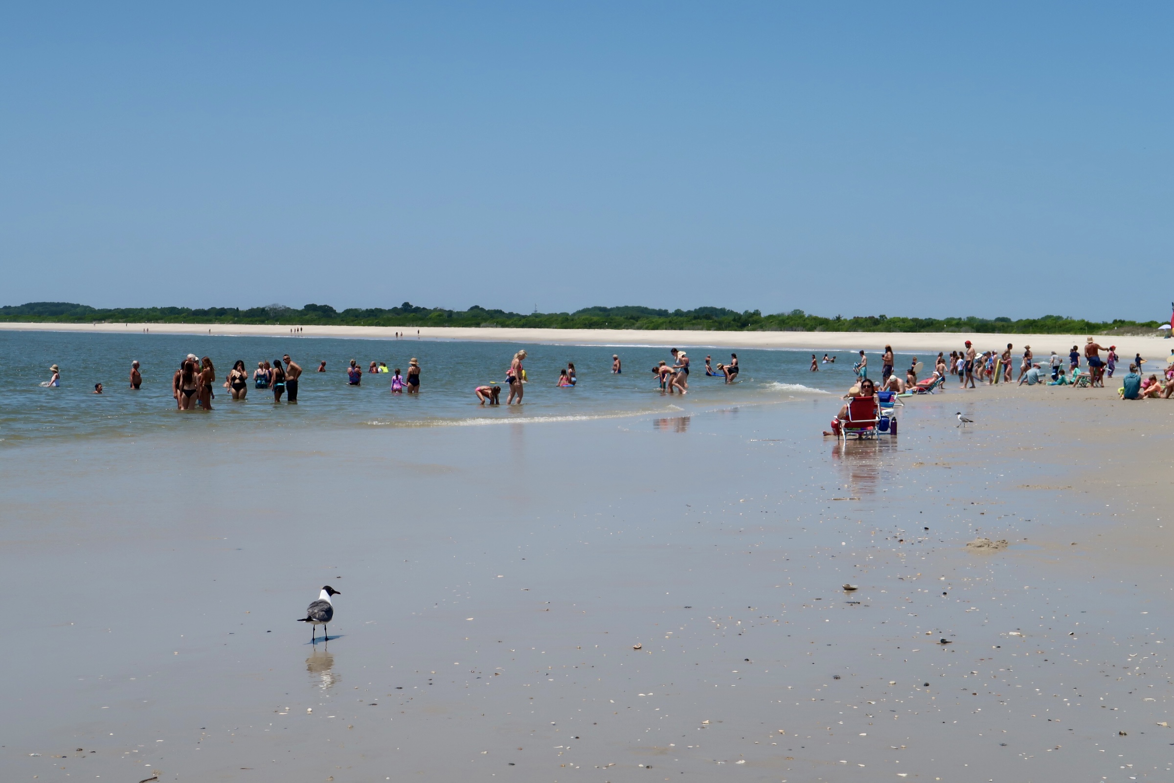 People swimming at The Cove in July