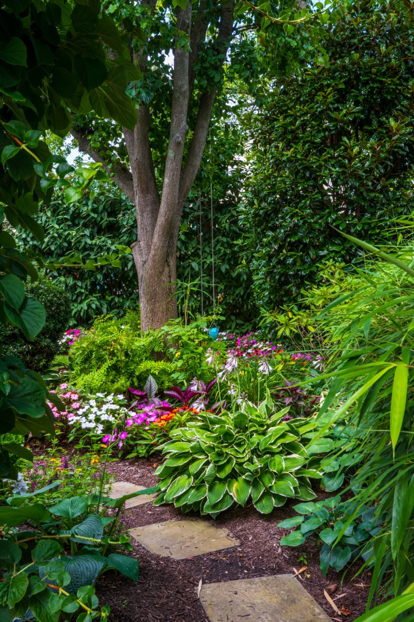 Secret Hidden Garden is located on Jackson Street, Cape May NJ